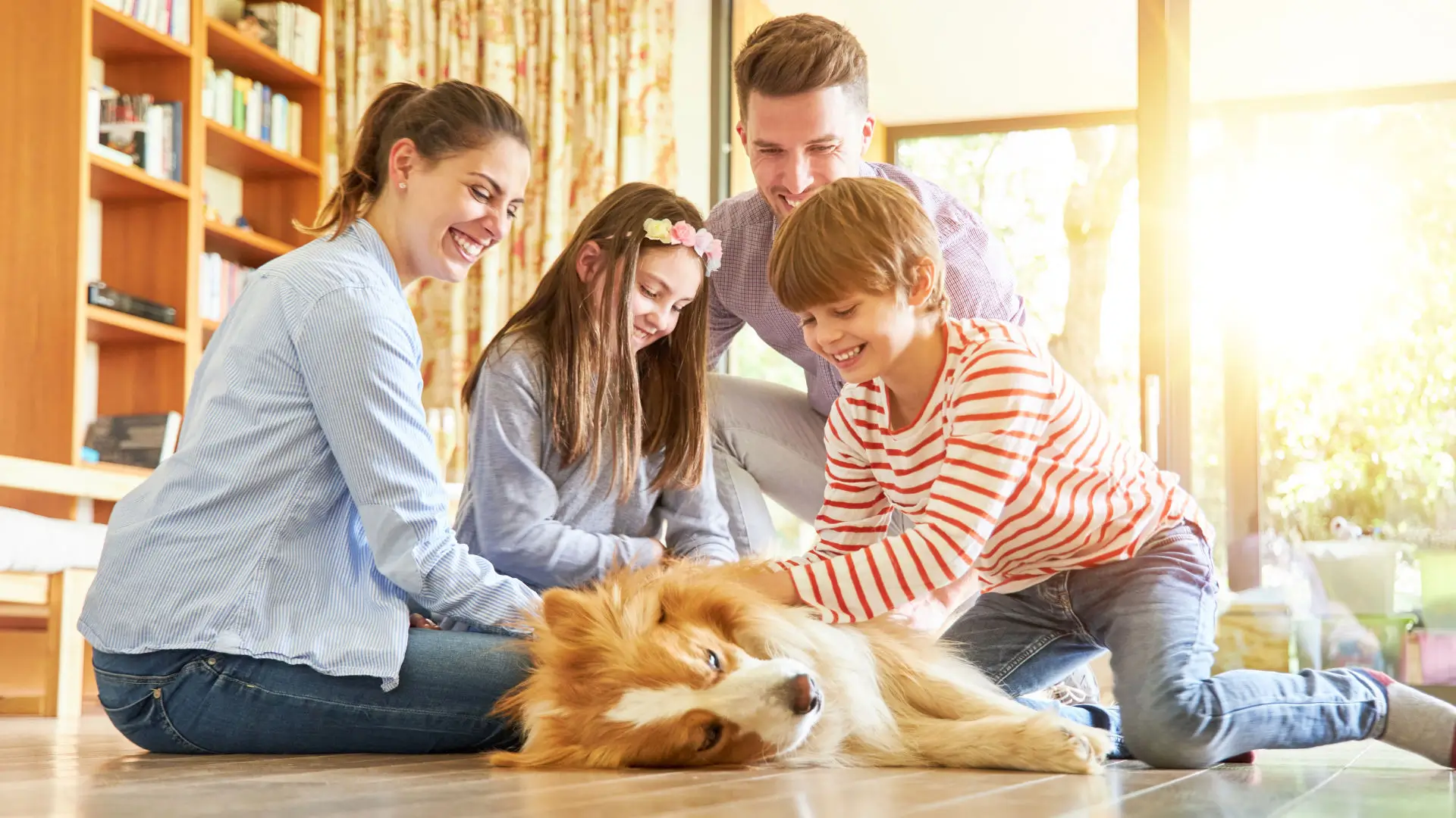 preparare casa nuovo animale domestico